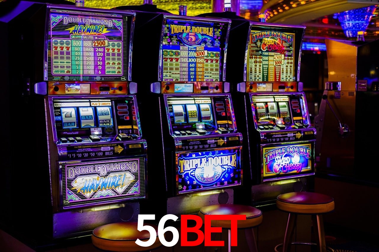 Sports Statistics 56Bet